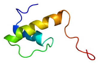 Protein EMD