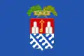 Flag of Province of Verbano-Cusio-Ossola