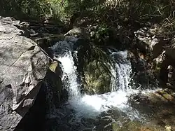 Ramsey Canyon
