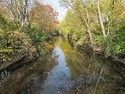 Red Cedar River