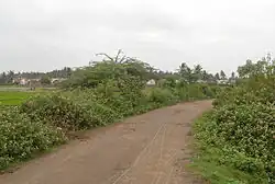 Road to Nemam
