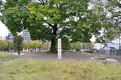 Saiji Site