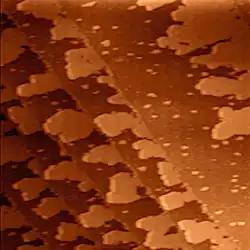 One-atom-thick silver islands grown on terraces of the (111) surface of palladium. Image size is 250&nbsp;nm by 250&nbsp;nm.