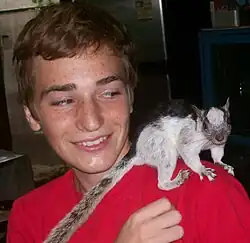 S. v. dorsalis rescued from the pet trade, raised in Estacion Biologica, Laguna de Apoyo Nature Reserve, Nicaragua, and returned to the wild