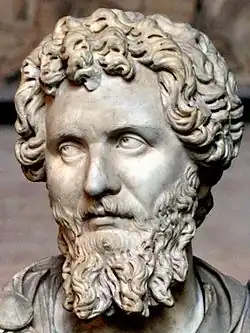 bust