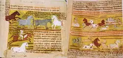 Pages of an old manuscript, filled with script. Several paintings of horses are shown, including horses running free and interacting with humans