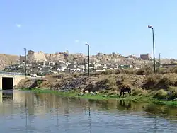 Shayzar