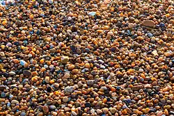 Towards the north-western end, the shingle becomes much smaller