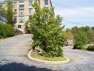 The second hairpin turn on Shippen Street