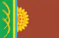 Flag of Shyroke Raion
