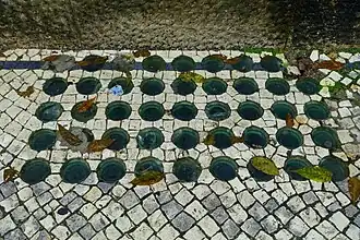 Portuguese pavement incorporating pavement lights