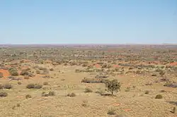 Simpson Desert, a warm desert