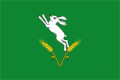 Flag of Șoldănești
