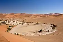 The Namib, a warm desert