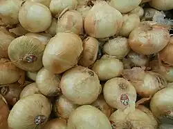 Sweet onions in a pile