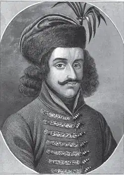 Michael Szilágyi, Regent of Hungary, Voivode of Transylvania