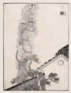 Ten (鼬), (Marten)
