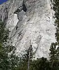 In this photograph, three different parties can be seen ascending the lower portion of the Nose route. Two are in the cracks, respectively' to the left and above the dead tree, and another party can be seen in the cracks in the upper right of the photo.