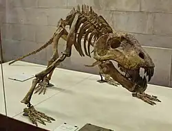 Titanophoneus exhibit