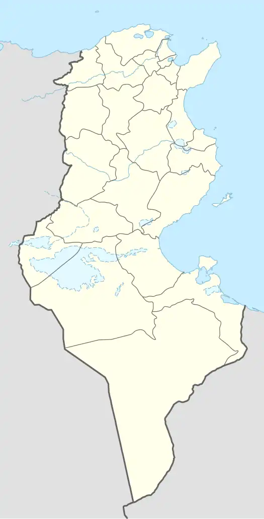 Plane Island is located in Tunisia