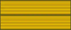 Combat Injury Badge for severe wounds, received in the line of duty (1980, 1986)