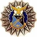 Badges of the United States Air Force