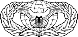 United States Air Force Force Protection Badge