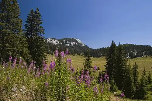 Northern Velebit