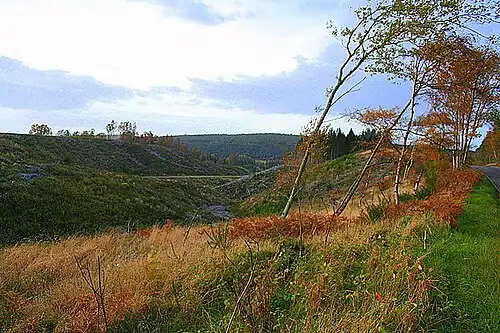 Valley landscapes