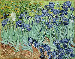 Irises 1889 J. Paul Getty Museum, Los Angeles, California (F608)