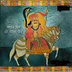 VeerGogaji