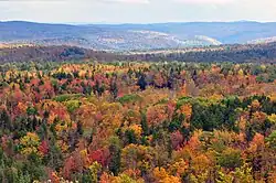 Fall foliage seen on thousands of trees in Vermont