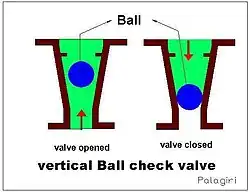 Vertical ball check valve