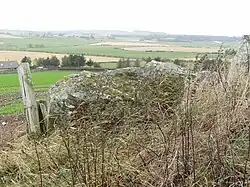 Eight equidistant large stones arranged in a circle. Inside are several smaller stone circles.