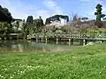 The pond