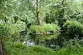 River Haven, contained in the village pond