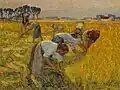 Flax harvest Museum van Deinze en de Leiestreek