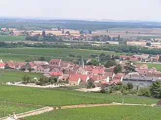 A general view of Vosne-Romanée