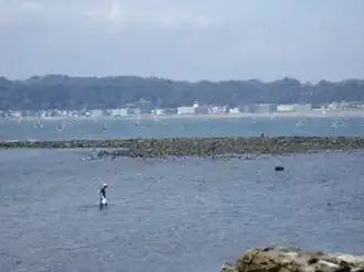 Wakae Island