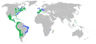 WaroftheSpanishSuccession.png