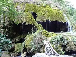 "Zontik" (Umbrella) natural monument