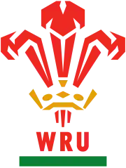 Shirt badge/Association crest