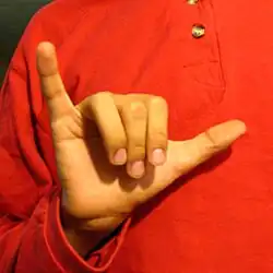 ⟨Y2⟩,