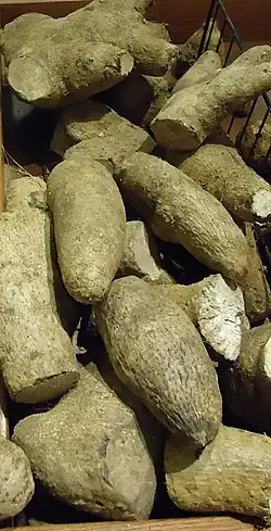 Yellow yam
