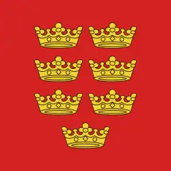 Flag of Kraljevo