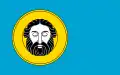 Flag of Gmina Zduny