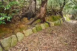 ruins of walls